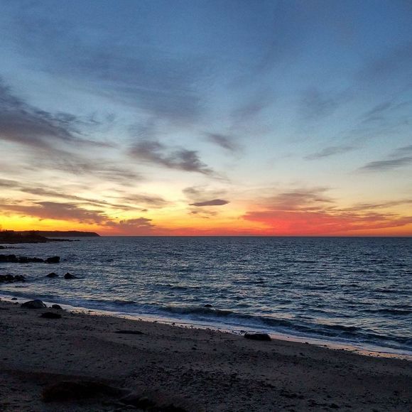 Meet your Posher, Tate - Picture 1 of 1